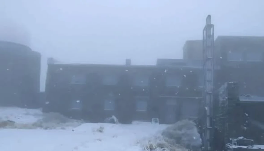 На Піп Івані о 8:00 зафіксували -1°, сніг і вітер 4 м/с